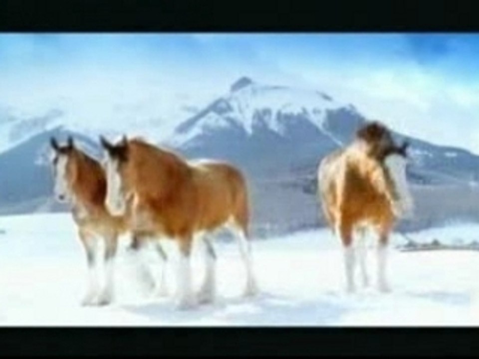 Snow fight max