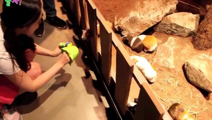 마포출장타이Ø1ØA2997A5327｛카톡KC789｝ぱ마포출장안@마ぱ마포출장샵ぱ마포출장맛사지 ぱ마포출장걸썰 마포출장걸가격 마포출장러시아 마포외국인후불출장업소 마포24시출장마사지샵'예약おかが