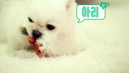 관악출장타이O7Oy7575y0069｛카톡CC6969｝ぱ관악출장안@마ぱ관악출장샵ぱ관악출장맛사지 ぱ관악출장걸썰 관악출장걸가격 관악출장러시아 관악외국인후불출장업소 관악24시출장마사지샵'예약ぇえぉ