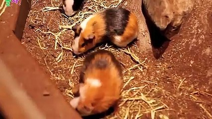 권선출장안마 -후불100%ョOiOc7685c6221｛카톡PP888｝ 권선전지역출장안마 권선오피걸 권선출장마사지 권선안마 권선출장마사지 권선콜걸샵абв