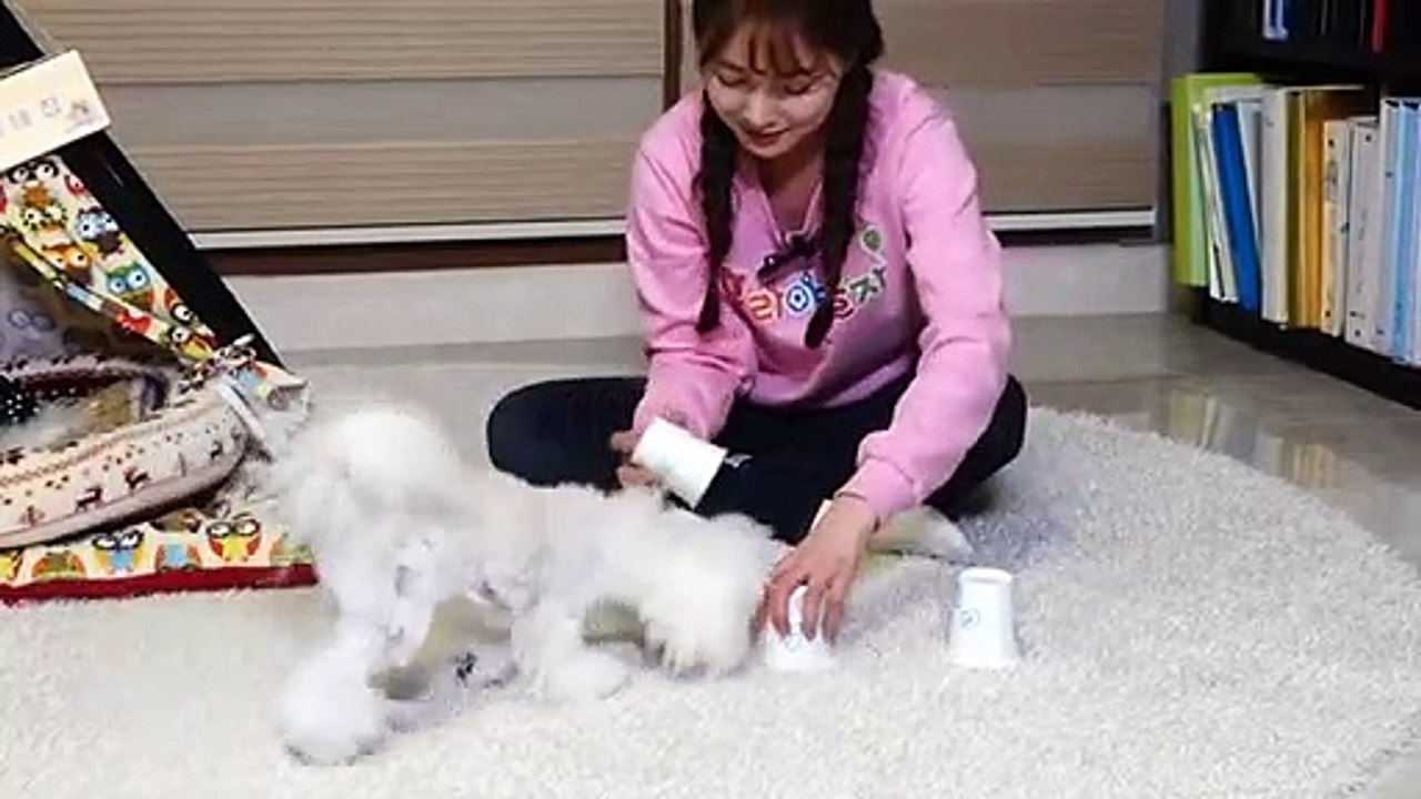 신안출장안마 -후불100%ョ 070c5180c1617｛카톡MAS91｝ 신안전지역출장안마 신안오피걸 신안출장마사지 신안안마 신안출장마사지 신안콜걸샵ぐけぉ