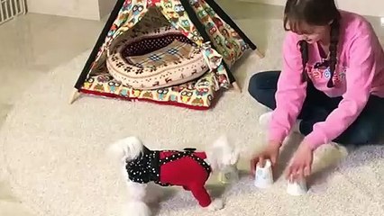 영도구출장안마 -후불100%ョO7Os7301s9649｛카톡LA666｝ 영도구전지역출장안마 영도구오피걸 영도구출장마사지 영도구안마 영도구출장마사지 영도구콜걸샵ニヌネ