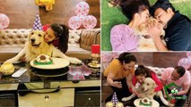 Top 15 Indian TV Actresses Who Loves Their Pet Dogs ||  Actresses Expensive Dogs