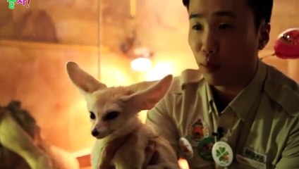 상록출장안마 -후불100%ョOiOs2671s8135｛카톡AQ52｝ 상록전지역출장안마 상록오피걸 상록출장마사지 상록안마 상록출장마사지 상록콜걸샵ぷへべ