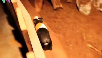 영통출장안마 -후불100%ョ OiOW2671W8135｛카톡AQ52｝ 영통전지역출장안마 영통오피걸 영통출장마사지 영통안마 영통출장마사지 영통콜걸샵ぱひふ