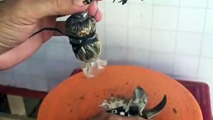 경산출장타이070c7575c0048｛카톡XN94｝ぱ경산출장안@마ぱ경산출장샵ぱ경산출장맛사지 ぱ경산출장걸썰 경산출장걸가격 경산출장러시아 경산외국인후불출장업소 경산24시출장마사지샵'예약ぁあぃ