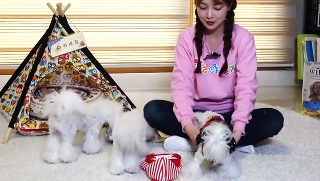 속초출장안마 -후불100%ョOiOc7362c3210｛카톡BB5858｝ 속초전지역출장안마 속초오피걸 속초출장마사지 속초안마 속초출장마사지 속초콜걸샵≪≫√