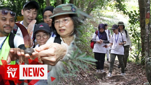 Hidden treasures of Balik Pulau