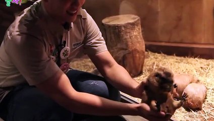 서구출장안마 -후불100%ョOiOc7685c6221｛카톡MGM1472｝ 서구전지역출장안마 서구오피걸 서구출장마사지 서구안마 서구출장마사지 서구콜걸샵ъыь