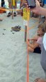 Baby Sea Turtles Begin Ocean Adventure