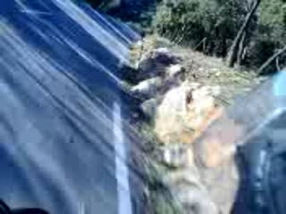 dessente de la saint bome en ludix charrel nike tou ok !!!