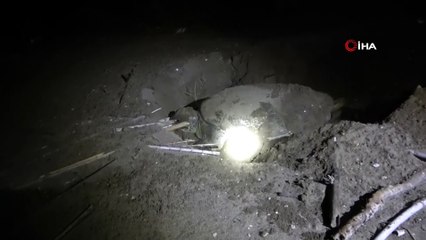 Anaç deniz kaplumbağasının denize ulaşma mücadelesi kamerada