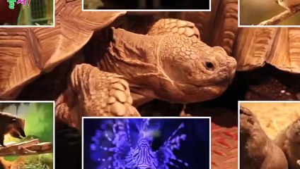 함안출장안마 -후불100%ョOiOc7362c3210｛카톡VR91｝ 함안전지역출장안마 함안오피걸 함안출장마사지 함안안마 함안출장마사지 함안콜걸샵∧⊙▼