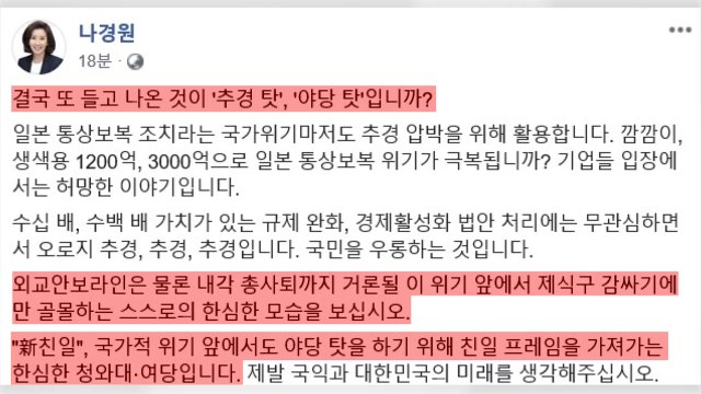 나경원 야당 탓하려 친일 프레임...靑·與 한심해 / YTN