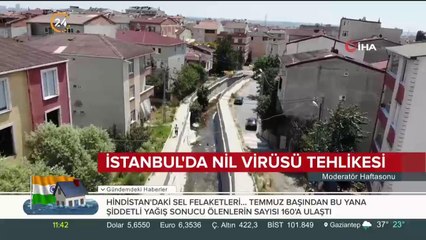 İstanbul'da "Batı Nil Virüsü" tehlikesi