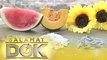A Dietitian details the health benefits of watermelon, pumpkin, and sunflower seeds | Salamat Dok