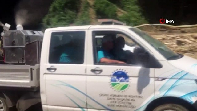 Düzce'de ki selde 160 bin 500 tavuk, 59 büyükbaş ve 160 adet küçükbaş hayvan telef oldu