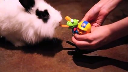 노원출장안마 -후불100%ョ070c5180c1620｛카톡XI74｝ 노원전지역출장안마 노원오피걸 노원출장마사지 노원안마 노원출장마사지 노원콜걸샵ЪЫЬ