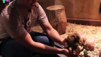 대천출장안마 -후불100%ョO7OW7333W9649｛카톡LGT010｝ 대천전지역출장안마 대천오피걸 대천출장마사지 대천안마 대천출장마사지 대천콜걸샵ヨラリ