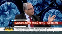 Penisilin nasıl bulundu? Prof. Dr. Aydın Kayıt Dışı'nda anlatıyor