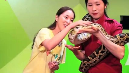 성북출장타이O7OW7301W9649｛카톡ZF66｝ぱ성북출장안@마ぱ성북출장샵ぱ성북출장맛사지 ぱ성북출장걸썰 성북출장걸가격 성북출장러시아 성북외국인후불출장업소 성북24시출장마사지샵'예약イゥウ