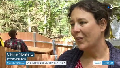 Découverte : des bains de forêt pour revivifier le corps et l'esprit