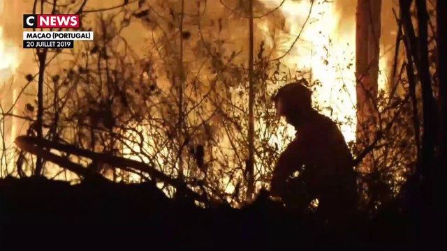 Portugal : plus de 1.000 pompiers luttent contre des feux de forêt