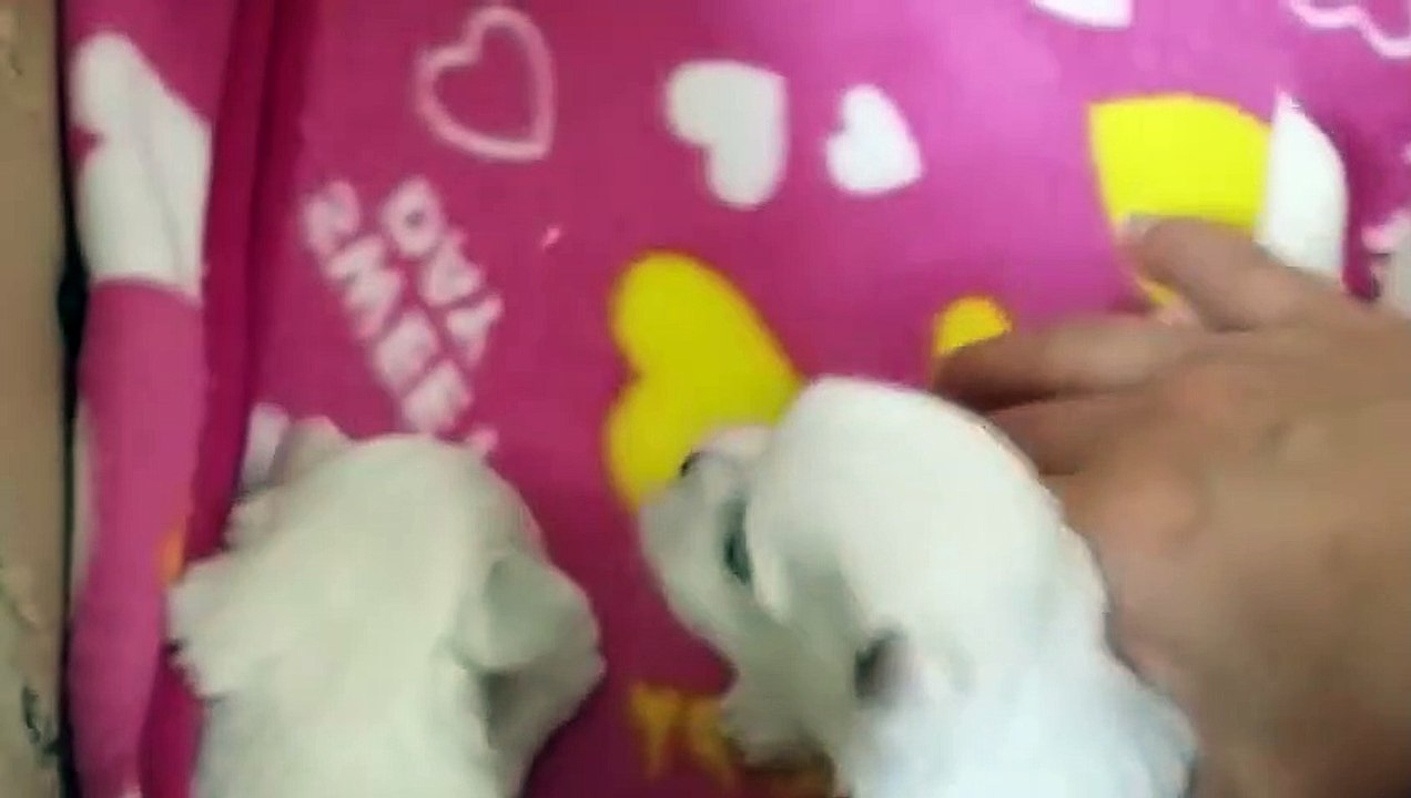 보령출장안마 -후불100%ョO7Os7333s9649｛카톡VV23} 보령전지역출장안마 보령오피걸 보령출장마사지 보령안마 보령출장마사지 보령콜걸샵§∥∏