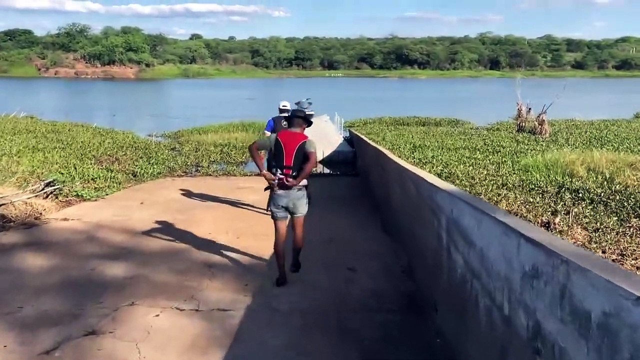 COBRA QUE COME TUDO (PARTE 1)