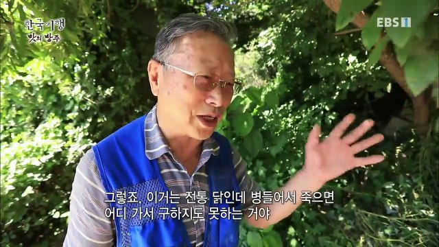 한국기행 - Korea travel_맛의 방주 1부- 고기의 전설, 칡소와 재래닭_#002