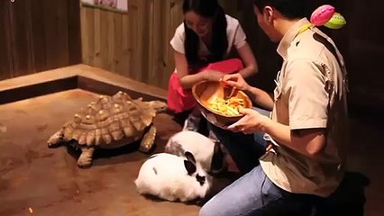 부산출장안마 -후불100%ョO7Os7575s0062｛카톡DDR88｝ 부산전지역출장안마 부산오피걸 부산출장마사지 부산안마 부산출장마사지 부산콜걸샵ぁあぃ