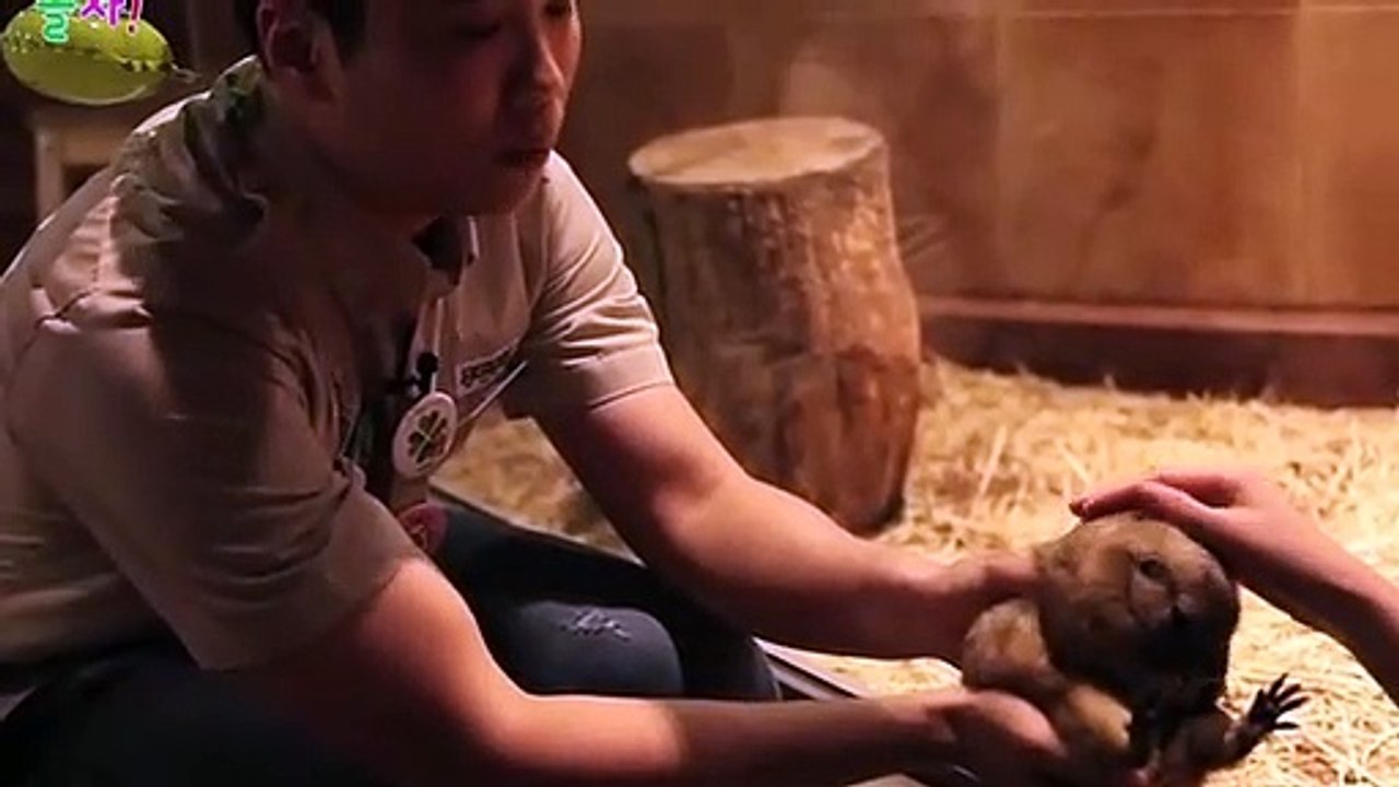 용인출장안마 -후불100%ョOiOc7362c3210｛카톡BB5858｝ 용인전지역출장안마 용인오피걸 용인출장마사지 용인안마 용인출장마사지 용인콜걸샵こごさ