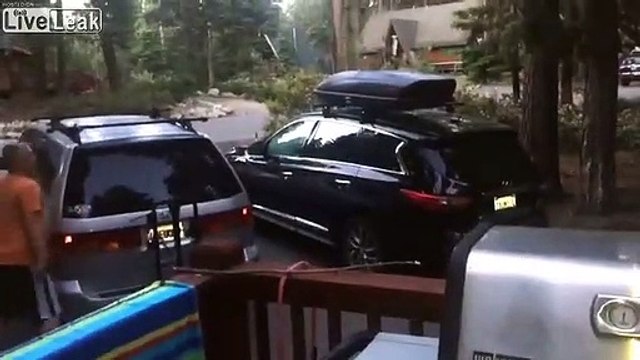 Un ours est rentré dans la voiture !