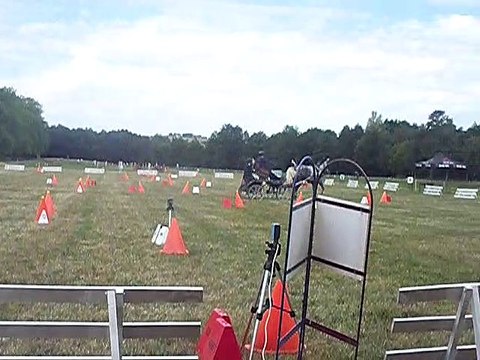 28ème concours de chars de chevaux à Boulzicourt le 20 juillet 2019 N°2