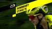 Summary - Stage 15 - Tour de France 2019