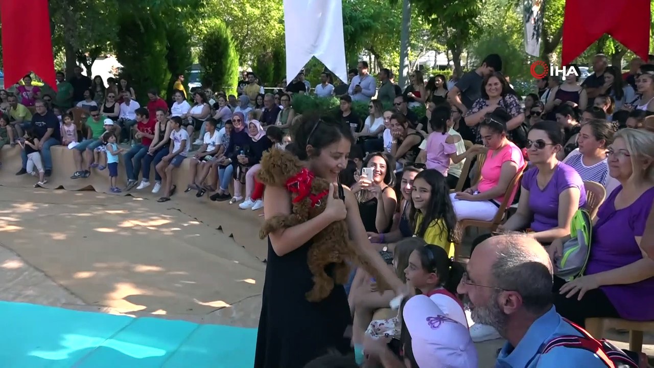 Sokak hayvanları yararına yapılan ‘Pati Festivali’ renkli görüntülere sahne oldu