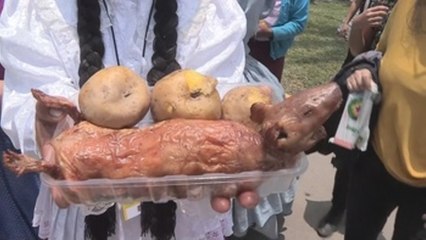 Lima, entre sede panamericana del deporte y capital gastronómica de América