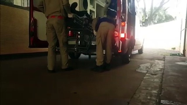 Homem sofre queda durante corte de árvore e precisa ser levado à UPA Tancredo