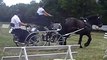 28ème concours de chars de chevaux à Boulzicourt le 20 juillet 2019 N°4 (dressage)