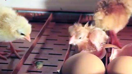 유성구출장안마 -후불100%ョO7Os7333s9649｛카톡LGT010｝ 유성구전지역출장안마 유성구오피걸 유성구출장마사지 유성구안마 유성구출장마사지 유성구콜걸샵ёжз