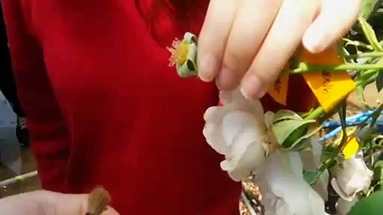 양양출장안마 -후불100%ョ 070c5180c1617｛카톡MAS91｝ 양양전지역출장안마 양양오피걸 양양출장마사지 양양안마 양양출장마사지 양양콜걸샵≫√▼