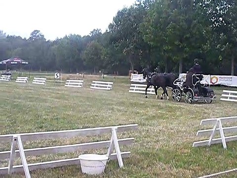 28ème concours de chars de chevaux à Boulzicourt le 20 juillet 2019 N°5(dressage)
