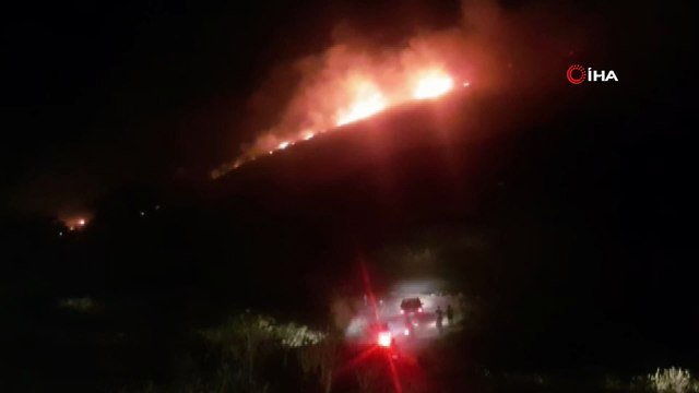 Aydın’da yangın...Makilik alanda başlayan yangın ormana doğru ilerliyor