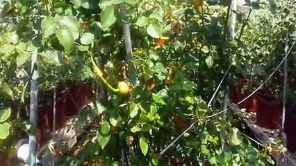 오창출장안마 -후불100%ョOiOE2659E1768｛카톡SN92｝ 오창전지역출장안마 오창오피걸 오창출장마사지 오창안마 오창출장마사지 오창콜걸샵∑⇒∃