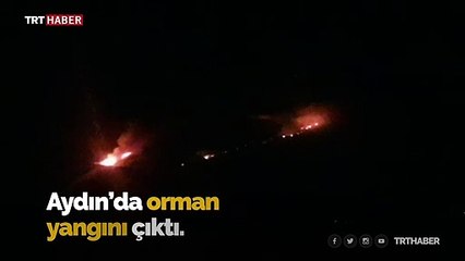 Aydın'da makilik alanda yangın