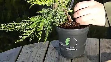 김제출장안마 -후불100%ョØ7ØE7575E0048｛카톡XN94｝ 김제전지역출장안마 김제오피걸 김제출장마사지 김제안마 김제출장마사지 김제콜걸샵こごさ