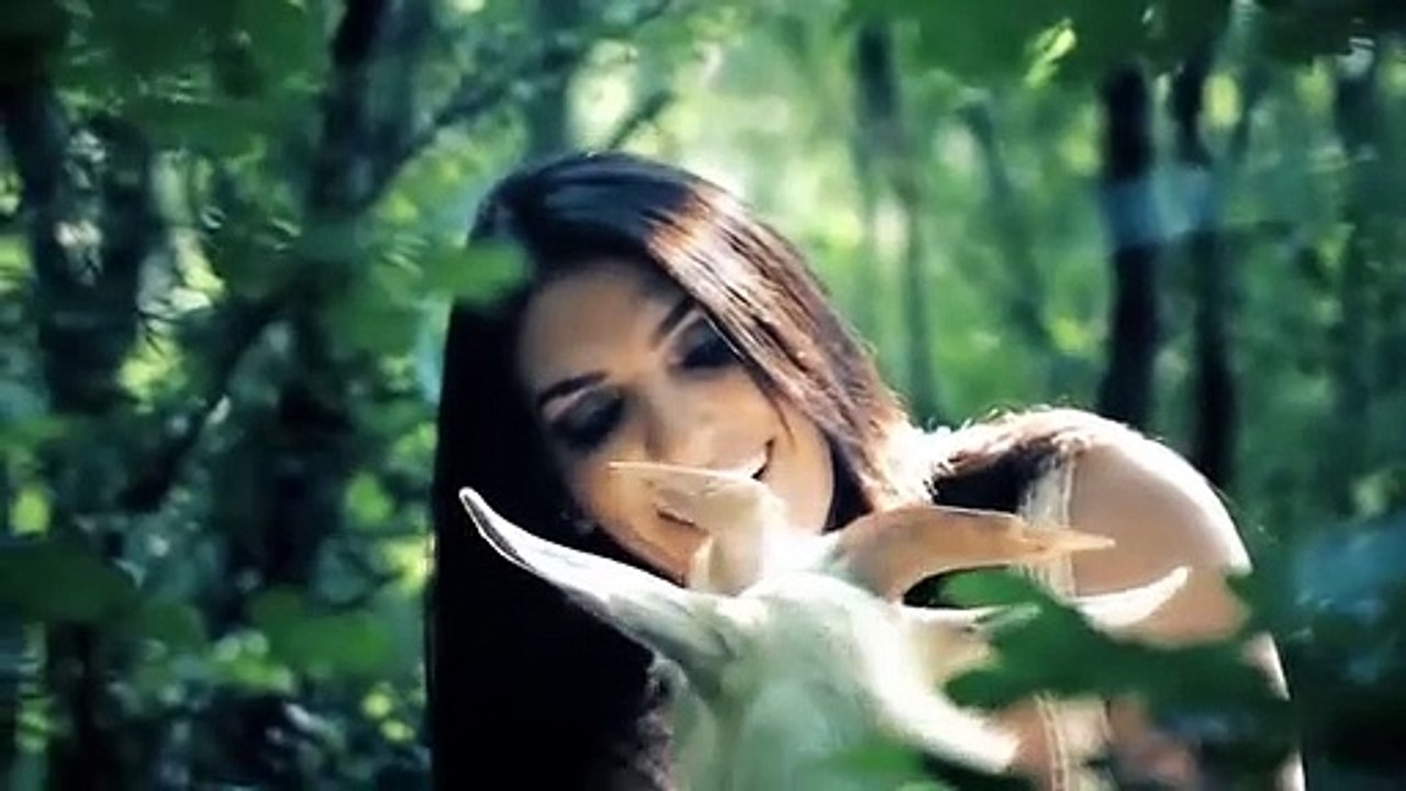 Hazal - Le Zırave