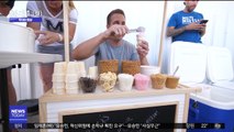 [투데이 영상] 백 마리 유기견에게 특별한 아이스크림