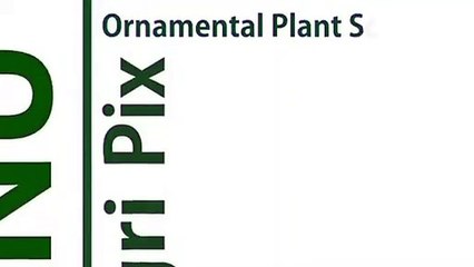광산출장안마 -후불100%ョOiOc7362c3210｛카톡BB5858｝ 광산전지역출장안마 광산오피걸 광산출장마사지 광산안마 광산출장마사지 광산콜걸샵オカガ