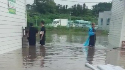 [날씨] 제주 기습 폭우로 30여곳 피해...시간당 66mm 기록 / YTN